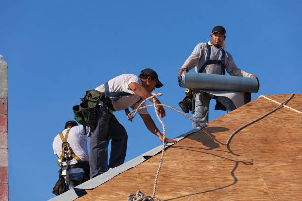 Best Roof Gutter Cleaning  in Watervliet, NY